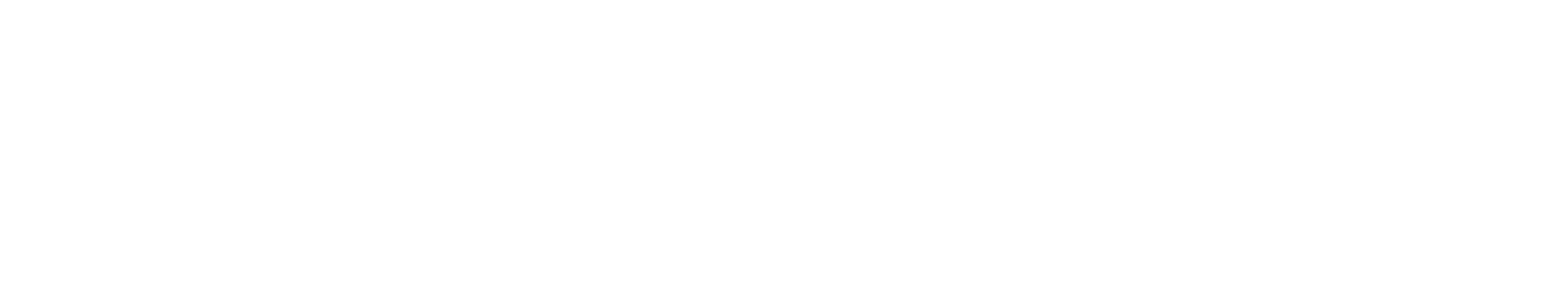 Silver Grove Financial Group