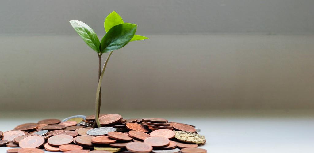 Home Silver Grove Financial Group, Inc.