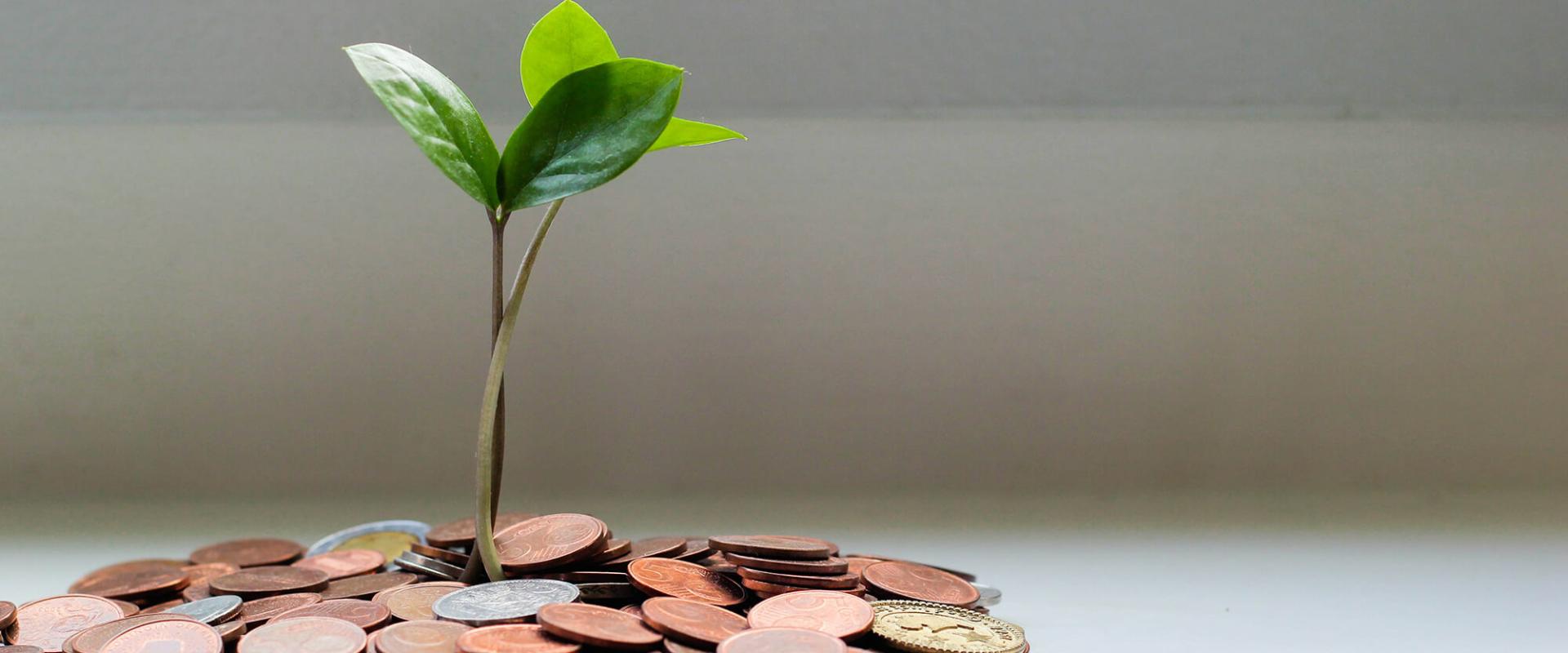 Home Silver Grove Financial Group, Inc.