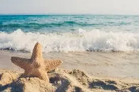 Budgeting for a Vacation