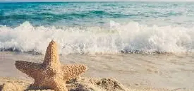 Budgeting for a Vacation